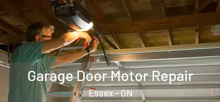  Garage Door Motor Repair Essex - ON