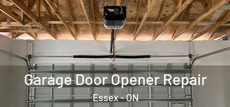  Garage Door Opener Repair Essex - ON