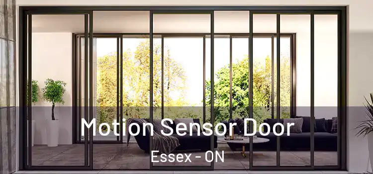 Motion Sensor Door Essex - ON